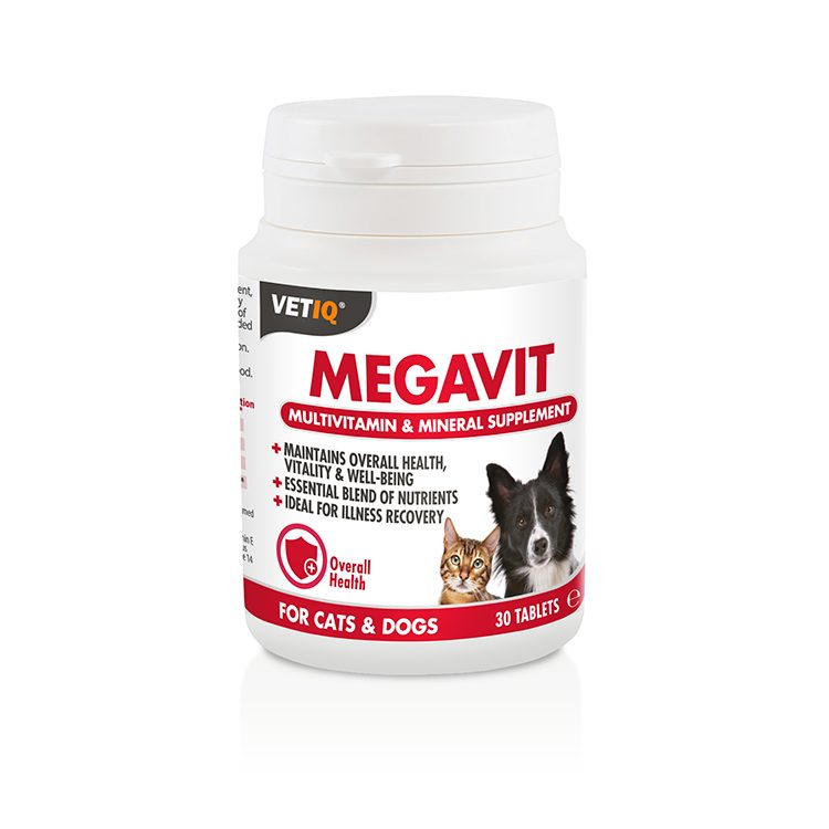 MEGAVIT