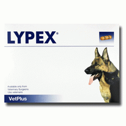 LYPEX