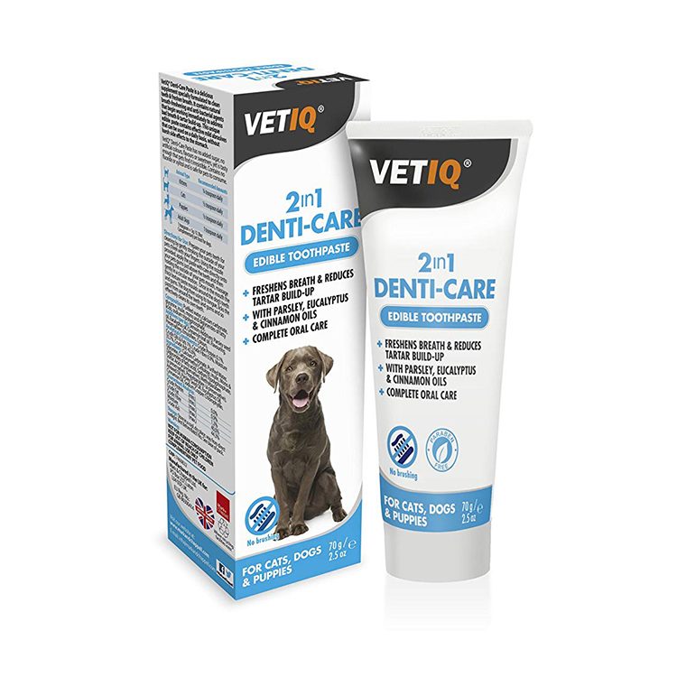 DENTI-CARE 2in1 PASTE