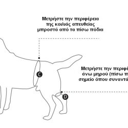 ΠΟΔΙΑ ΣΤΗΡΙΞΗΣ ΠΙΣΩ ΑΚΡΩΝ KRUUSE
