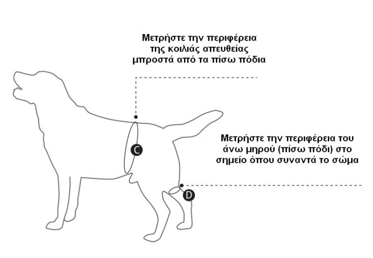 ΠΟΔΙΑ ΣΤΗΡΙΞΗΣ ΠΙΣΩ ΑΚΡΩΝ KRUUSE