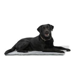 ΣΤΡΩΜΑ VET BED
