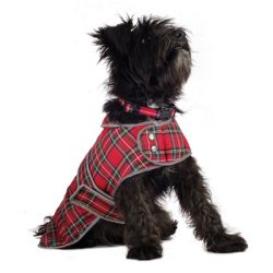 Καρό Tartan Παλτό