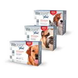 WEJOINT PLUS