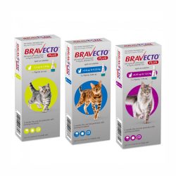 BRAVECTO PLUS SPOT ON FOR CAT