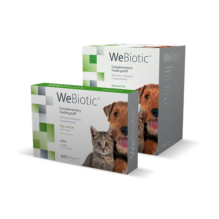 WEBIOTIC 30 ΔΙΣΚΙΑ