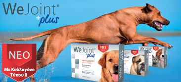 Read more about the article Νέο προϊόν WeJoint Plus