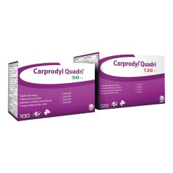 CARPRODYL QUADRI