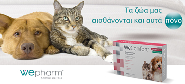 Read more about the article Νέο προϊόν WeConfort