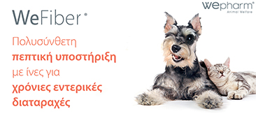 Read more about the article Νέο Προϊόν WeFiber