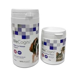 WECOGNI