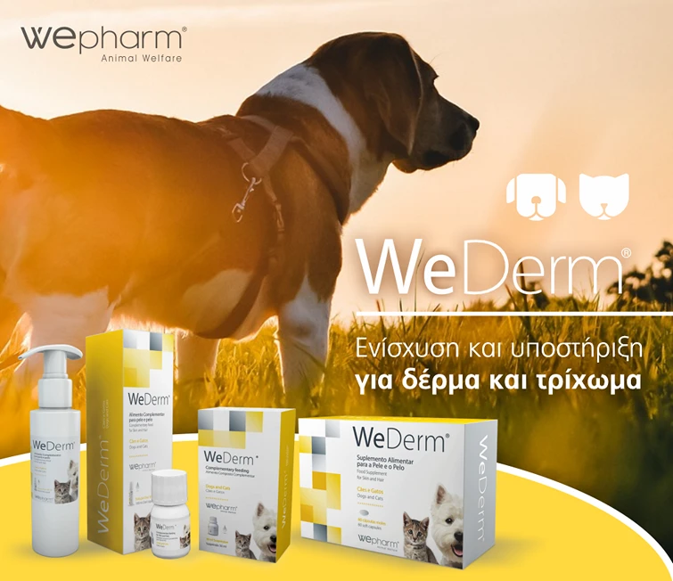 WE DERM